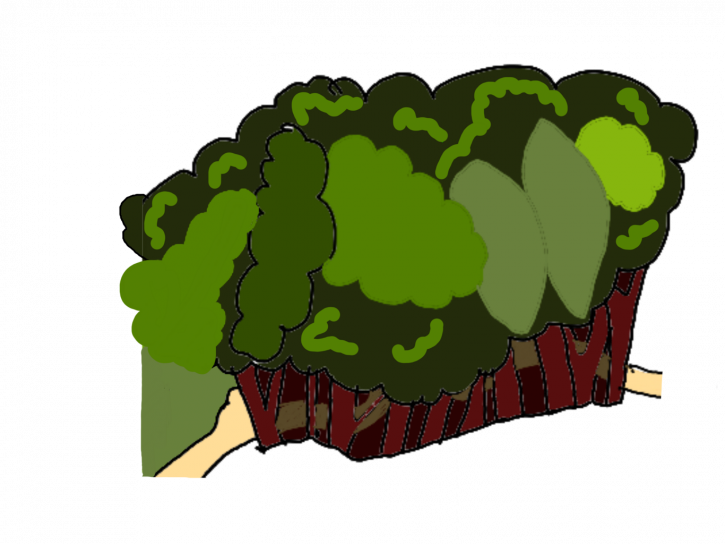 image Experimentations.png (0.3MB)